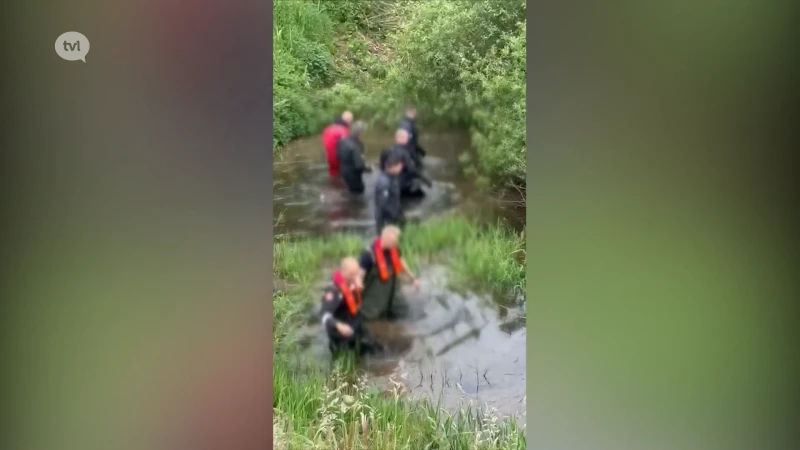 Tevergeefse zoektocht naar drenkeling in Schulensmeer in Lummen