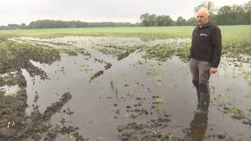 Boeren vrezen voor slechte oogst door het natte weer
