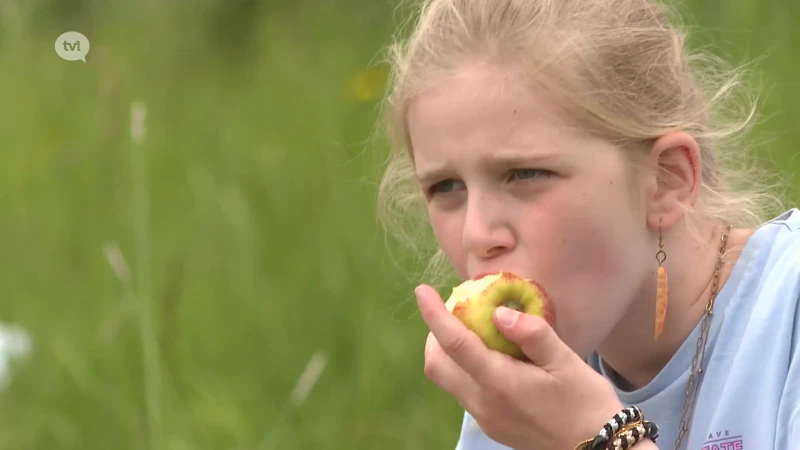 Limburgse fruitboeren vragen aandacht: "We aten nog nooit zo weinig fruit als nu"