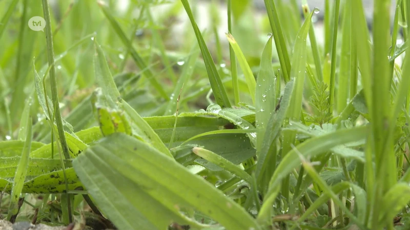 Jammer maar helaas: we zijn nog niet verlost van de regen