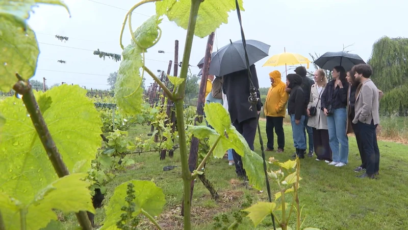 N-VA wil meer promotie van streekproducten