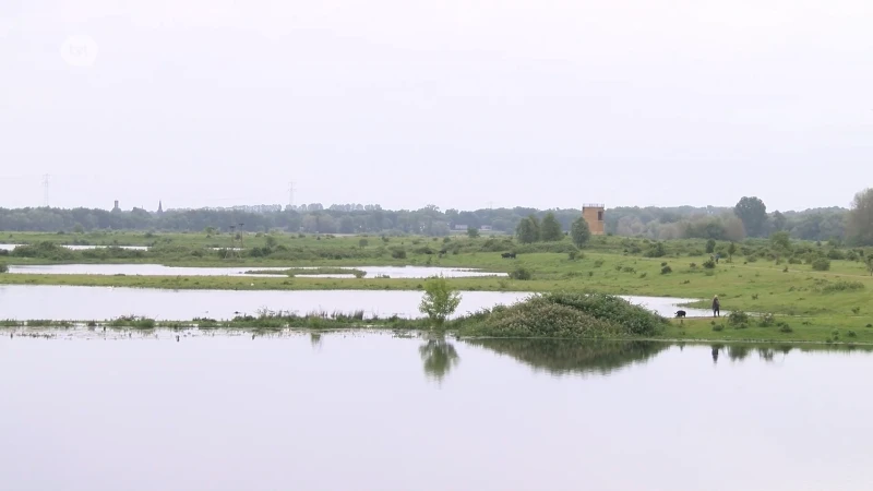 Veerponten uit de Maas gehaald door gestegen waterpeil