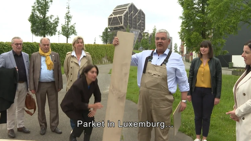 N-VA legt parket aan het gerechtshof in Hasselt