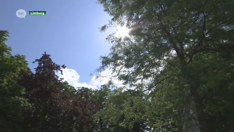 Kwakkelweer bijft in juni. Is de zomer om zeep?