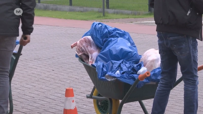 Stad Genk ziet aantal slachtbrieven voor Offerfeest jaarlijks dalen