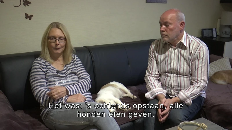 Koppel uit Lanaken dat 100 honden opving zonder vergunning krijgt geldboete maar moet geen schadevergoeding betalen