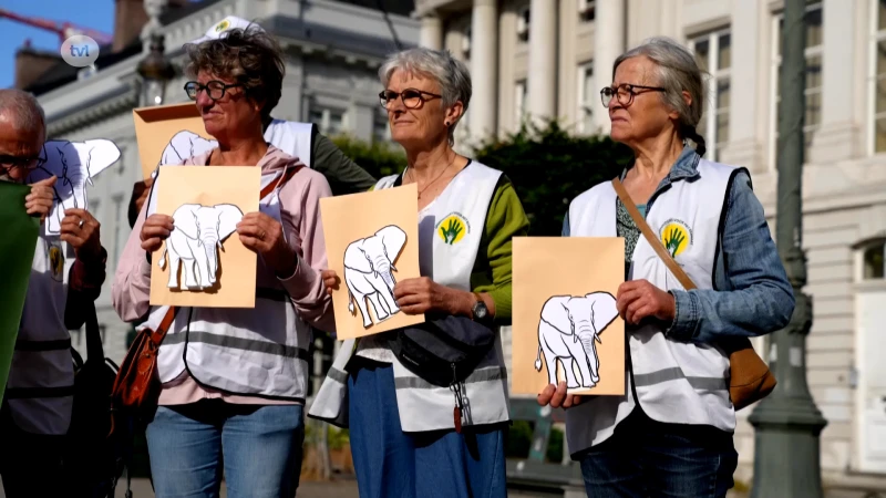Grootouders voor klimaat vragen met olifanten aandacht voor klimaatbeleid