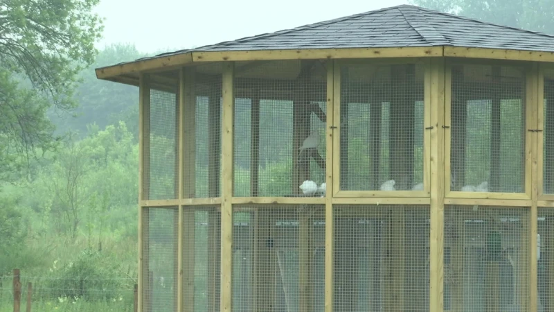 Dierenparkje Bilzen weer geopend als eerbetoon aan oprichter