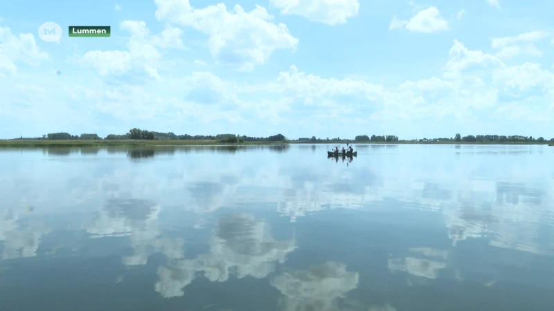 Blauwalg trekt streep door waterpret op Schulensmeer