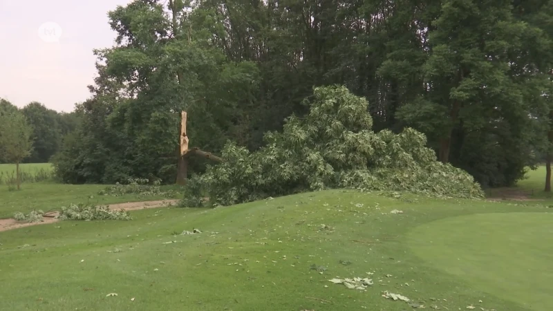 40 bomen omgewaaid aan golfclub Hasselt, brandweer is ook vandaag nog bezig met opruimen stormschade