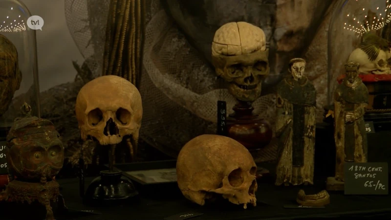 7.000 bezoekers voor schedels & occulte kunst op De Duystere Markt in Genk