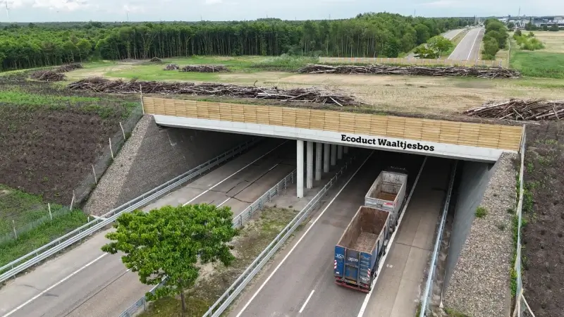 Ecoduct Waaltjesbos opent aan Nationaal Park Bosland