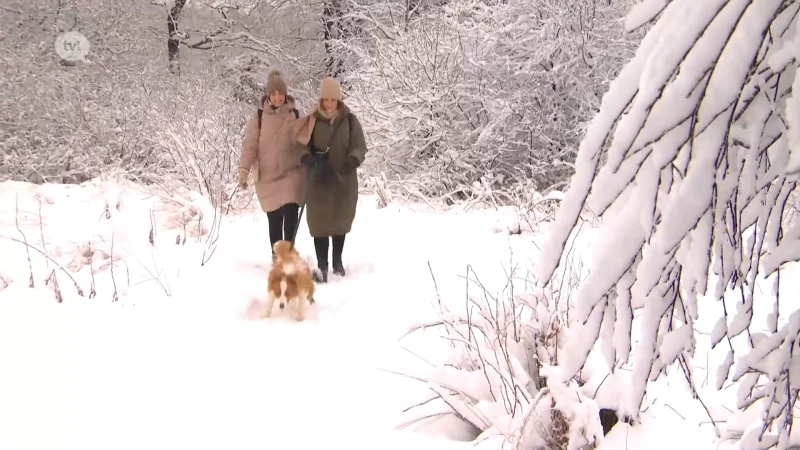 Limburgers profiteren van sneeuw in Hoge Venen