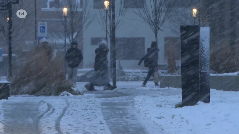 Sneeuwzone trekt over Limburg: tot 10 centimeter sneeuw op sommige plaatsen