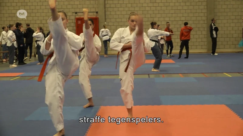 1.200 Taekwondoka's uit heel Europa op tornooi in Soeverein in Lommel