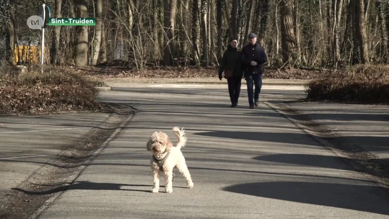 Truiense politie zal strenger controleren op loslopende honden