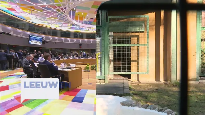 TVL Nieuws, 6 maart 2025