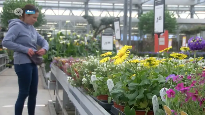 Hoe red ik mijn tuin in deze uitzonderlijke droogte?