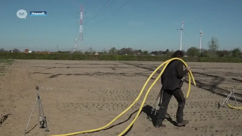 Nog maar april en droogte treft Limburgse boeren al