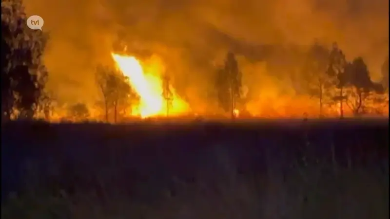 Grote natuurbrand op Mechelse Heide: "Zo goed als zeker door menselijk toedoen."