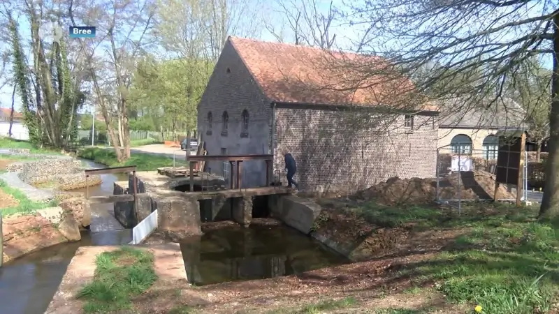60.000 euro subsidie voor 900 jaar oude Keyartmolen in Bree