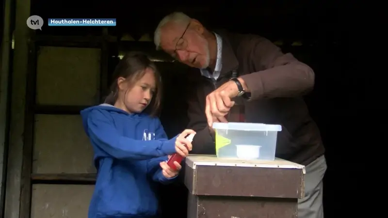 Aanwezigheid Aziatische hoornaar is verdubbeld: nu is het moment om vallen te plaatsen