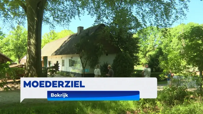 TVL Nieuws, 11 mei 2025