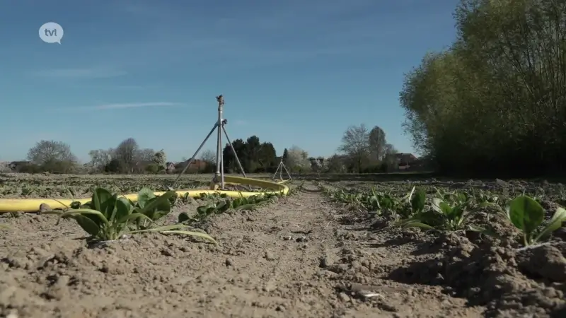 Droogte wordt erger: Jo Brouns roept op om zuinig te zijn met kraantjeswater en regenwater