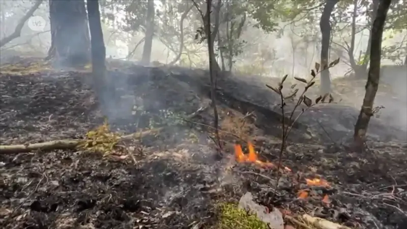 Code Rood in onze provincie, vooral brandgevaar in de Limburgse heidegebieden