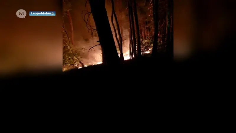 Twee hectare natuur afgebrand op militair domein Leopoldsburg