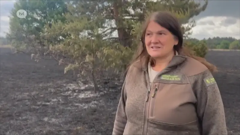 Agentschap Natuur en Bos meet schade op na heidebrand