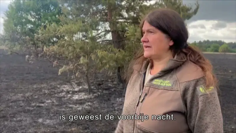 TVL Nieuws, 23 mei 2025