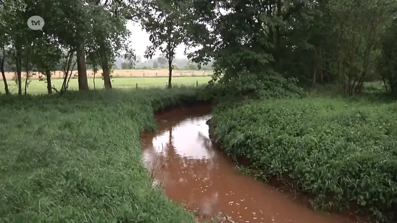Het regent eindelijk maar dat lost gevolgen van aanslepende droogte niet op