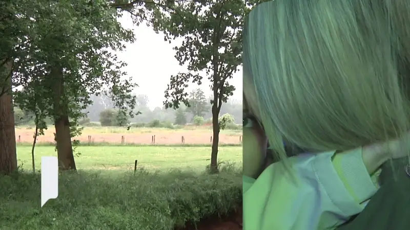 TVL Nieuws, 24 mei 2025