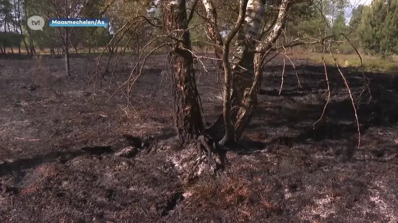 Brand Mechelse Heide is aangestoken: vier brandhaarden ontdekt