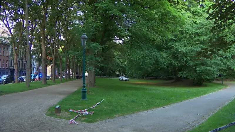 TVL Nieuws, 11 juni 2025