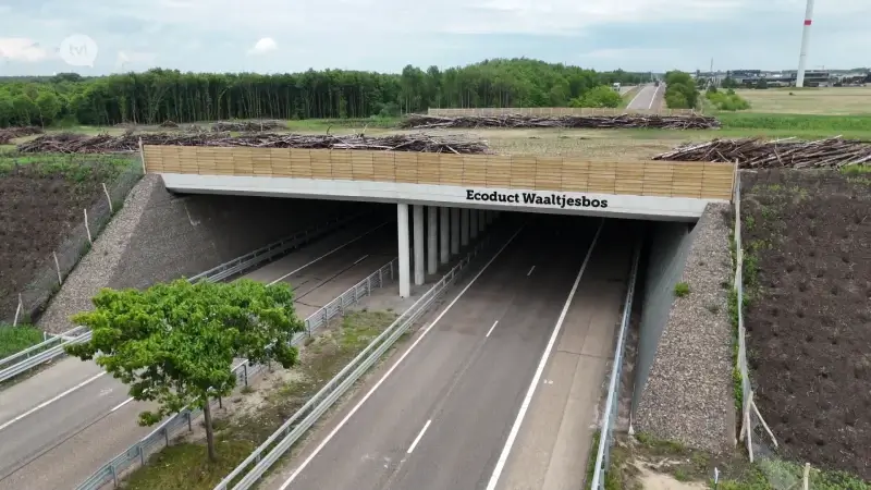 Nieuw ecoduct verbindt Waaltjesbos met Bosland