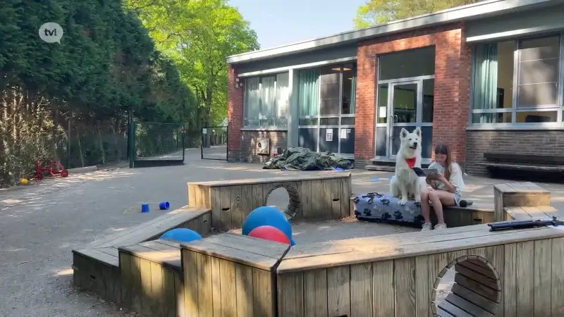 Leesoffensief mist doel: kwetsbare leerlingen worden over het hoofd gezien