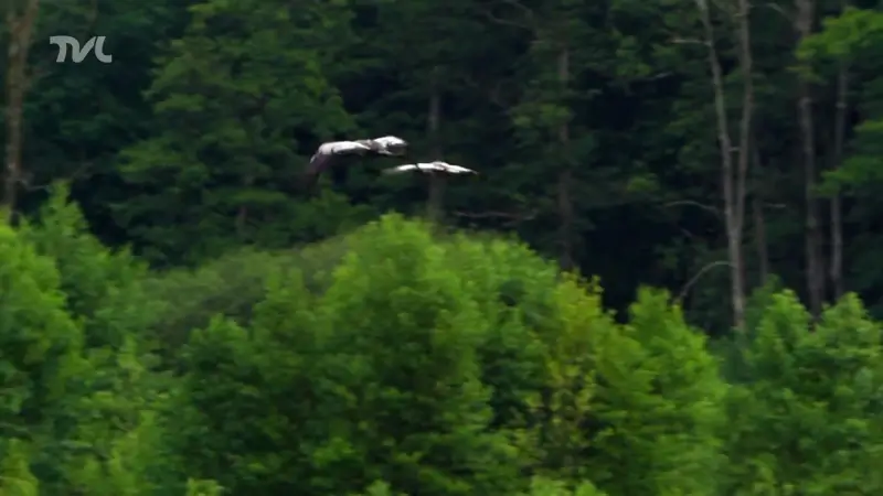 Morgen start nieuw seizoen 'Wild van Limburg'