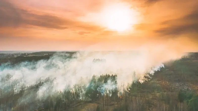 Natuurbrand Zuid-Frankrijk: Ervaar je hinder? Laat het ons weten