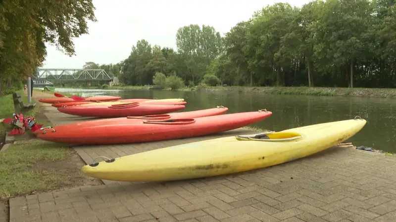 Recreatie afgeraden door blauwalgen in kanaal Bocholt-Herentals