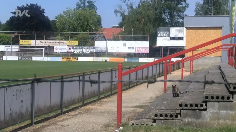 Voetbalclub KVK Beringen legt boeken neer