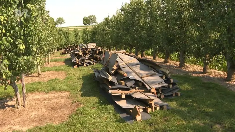 Onbekenden laten volledige dakconstructie achter in boomgaard in Mopertingen