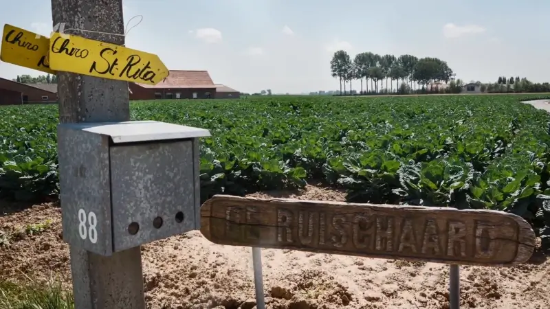 Verslagenheid is groot bij Truiense Chiro na tragisch overlijden 13-jarig meisje op kamp