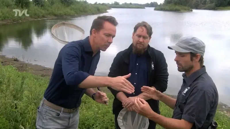 Jo Brouns op bijensafari in Dilsen-Stokkem