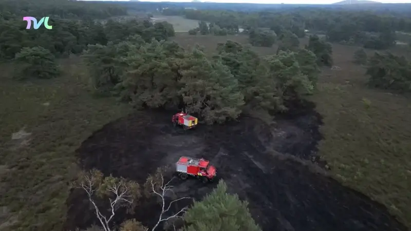 Parket Limburg gaat uit van brandstichting bij heidebrand in Zonhoven