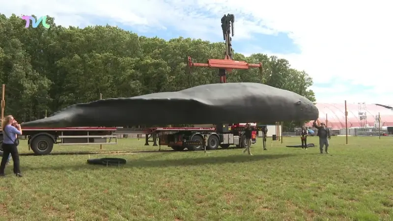 Walvis aangespoeld op Pukkelpop-weide