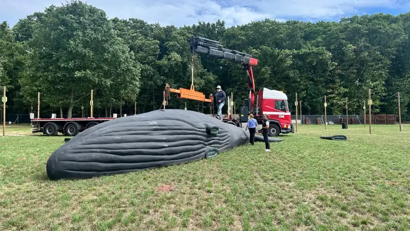 Walvis van Wim Opbrouck aangespoeld op de Pukkelpopweide