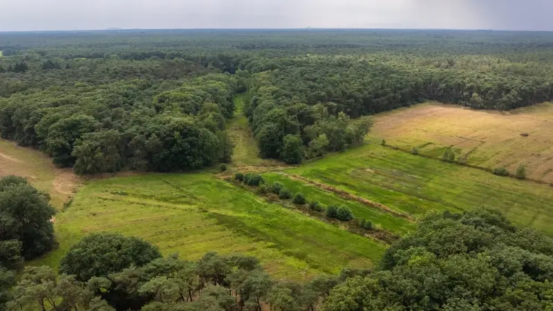 Natte natuur keert terug naar Hobos