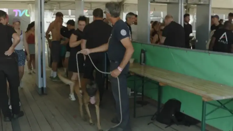 PKP25: Dugscontroles op Pukkelpop, hoe gaat dat?